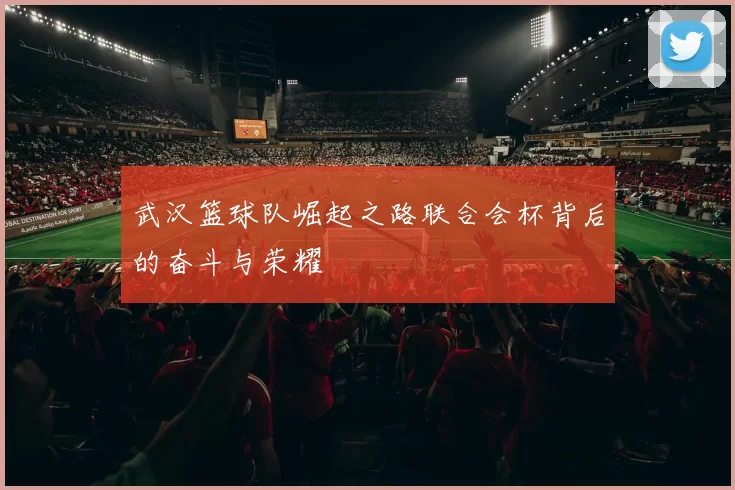 武汉篮球队崛起之路联合会杯背后的奋斗与荣耀