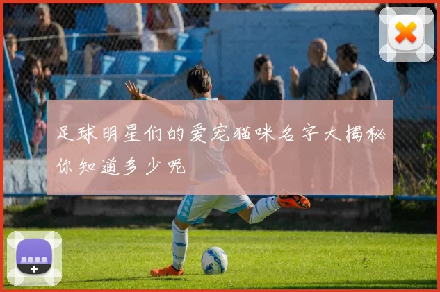 足球明星们的爱宠猫咪名字大揭秘你知道多少呢