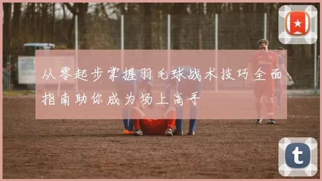 从零起步掌握羽毛球战术技巧全面指南助你成为场上高手