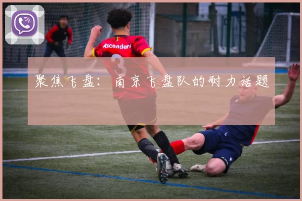 聚焦飞盘：南京飞盘队的耐力话题